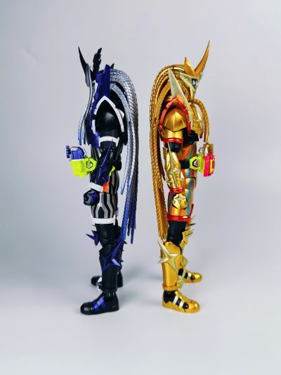 S.H.Figuarts   假面骑士幻梦 智脑与1000%的危机 假面骑士幻梦 无双玩家