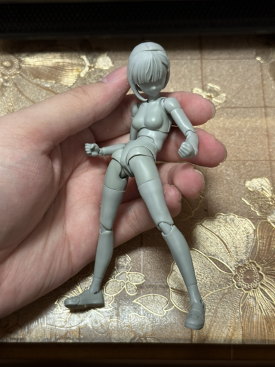 S.H.Figuarts 女性素体 校园生活主题 豪华套装（灰色款）