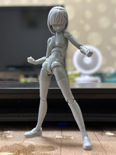 S.H.Figuarts 女性素体 校园生活主题 豪华套装（灰色款）