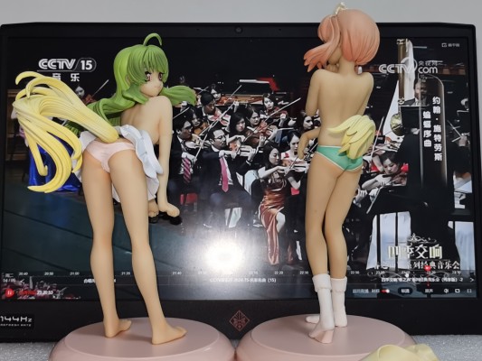 SMC いぬかみっ！ 阳子 通常版 