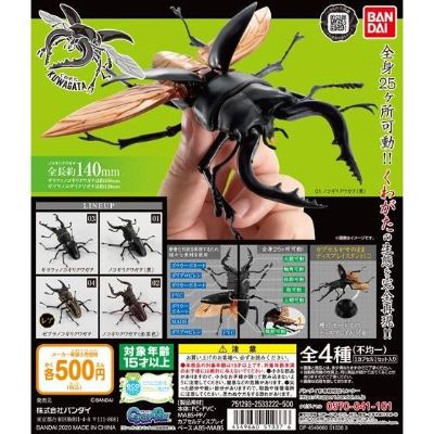 生物大图鉴 锹甲