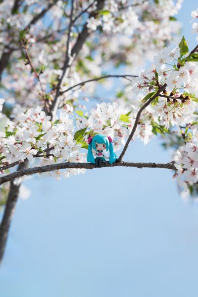 小坐系列 精细人偶 初音未来系列 