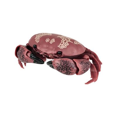 生物大图鉴 螃蟹