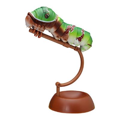 生物大图鉴 毛虫