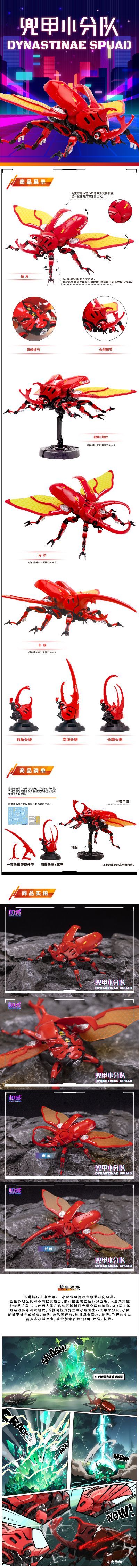 兜甲小分队