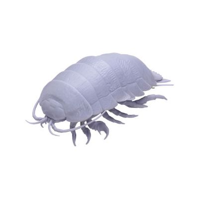 生物大图鉴 鼠妇 球形挂件 大王具足虫