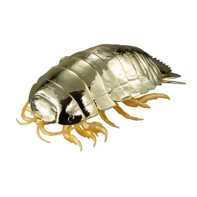 生物大图鉴 金属色 大王具足虫 3只套装