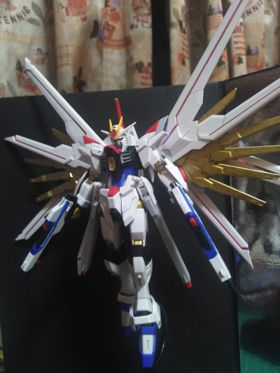HG 1/144  非凡强袭自由高达