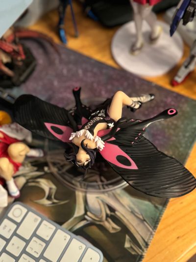 加速世界 黑雪姬 飘舞的黑扬羽蝶