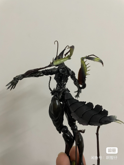 蟲系列 实验体B0127 螳螂