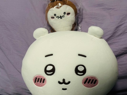 吉伊卡哇 吉伊卡哇公仔2