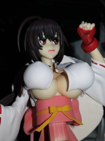 鶺鴒女神 结 动画版