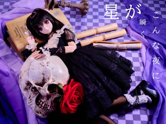 Dollfie Dream Sister DDS 魔法使之夜 久远寺有珠