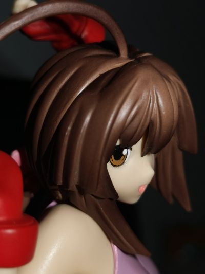 鹡鸰女神 结 Race Queen Ver. 