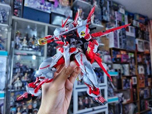 RG 1/144 MSN-04FF 沙扎比