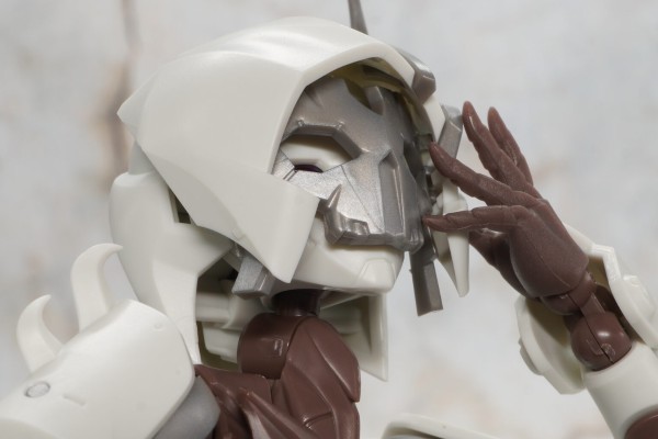 无限邂逅 追踪者