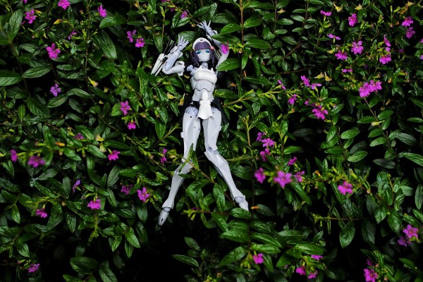 无限邂逅 初学者