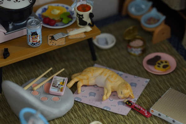 小小样品 猫田的日常