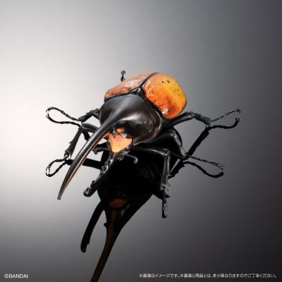 高级生物大图鉴  象兜虫 与 长戟大兜虫 展示架套装