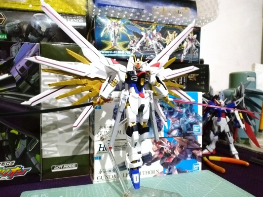 HG 1/144  非凡强袭自由高达