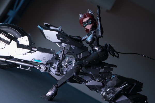 DC 猫女