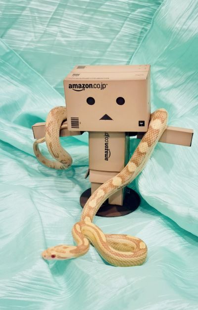 よつばとREVOLTECH REVOLTECH阿楞 アマゾンボックスバージョン