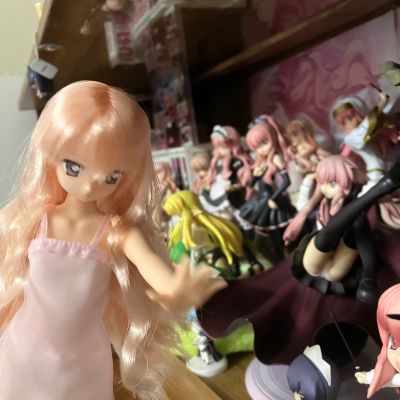 PureNeemo 零之使魔〜双月骑士〜 	露易丝·法兰西斯·露·布朗·杜·拉·瓦利埃尔
