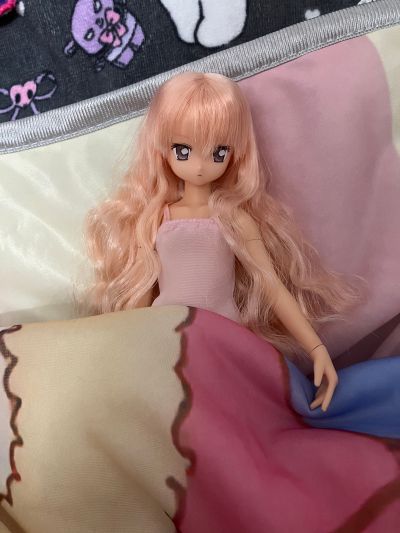 PureNeemo 零之使魔〜双月骑士〜 	露易丝·法兰西斯·露·布朗·杜·拉·瓦利埃尔