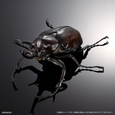 高级生物大图鉴  象兜虫 与 长戟大兜虫 展示架套装