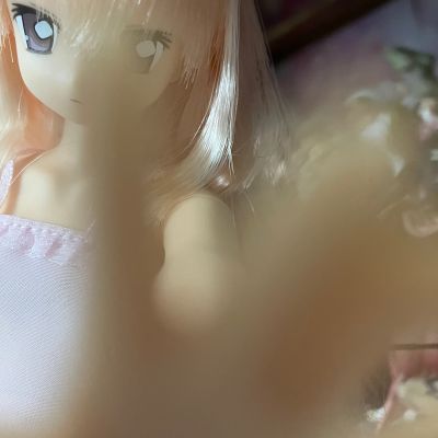 PureNeemo 零之使魔〜双月骑士〜 	露易丝·法兰西斯·露·布朗·杜·拉·瓦利埃尔