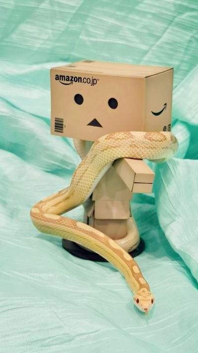 よつばとREVOLTECH REVOLTECH阿楞 アマゾンボックスバージョン