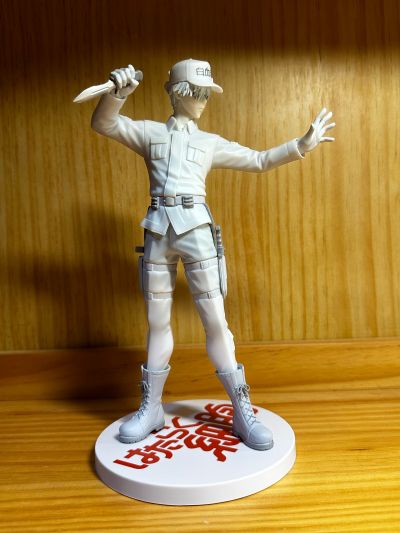 工作细胞 U-1146 白细胞