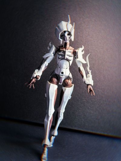 无限邂逅 追踪者