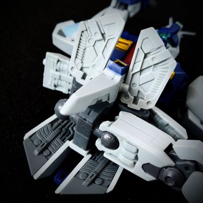 HCM Pro 灵格斯