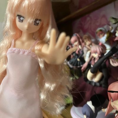 PureNeemo 零之使魔〜双月骑士〜 	露易丝·法兰西斯·露·布朗·杜·拉·瓦利埃尔