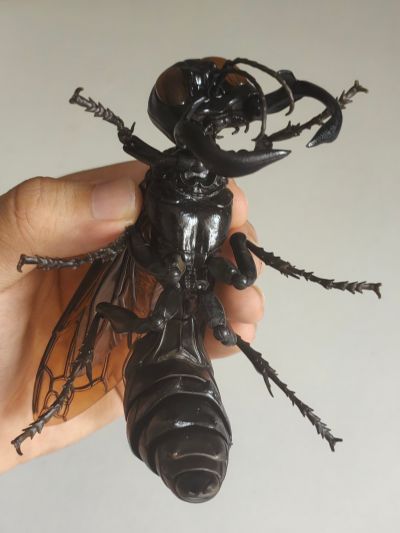 进化生物大图鉴 胡蜂 2 加鲁达巨唇泥蜂 + 展示架套装