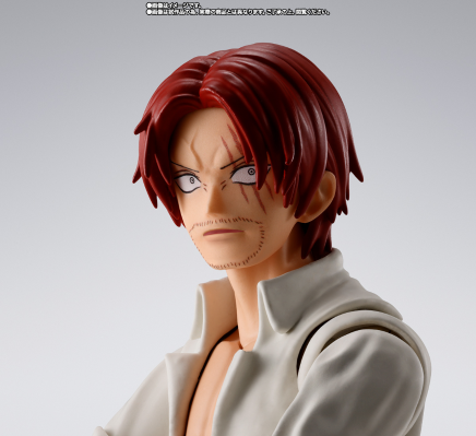 S.H.Figuarts 杰克斯与蒙奇·D·路飞（少年期）