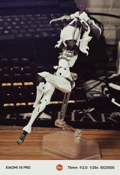 无限邂逅 追踪者