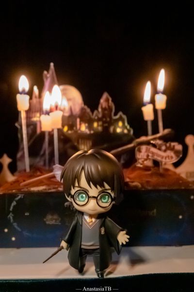 黏土人×DOLL 哈利波特 哈利波特