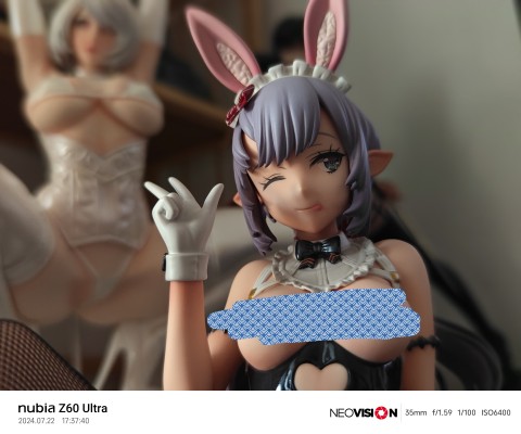 紫苑