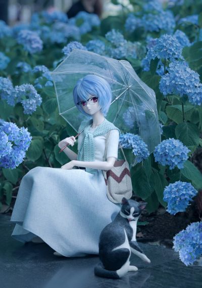 Dollfie Dream Sister DDS 魔法使之夜 久远寺有珠
