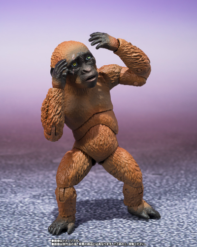 S.H.MonsterArts 迷你金刚与摩斯拉（2024）《哥斯拉大战金刚2：帝国崛起》