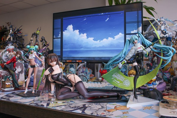 碧蓝航线 瑞鹤 飙速之鹤