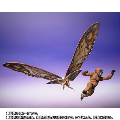 S.H.MonsterArts 迷你金刚与摩斯拉（2024）《哥斯拉大战金刚2：帝国崛起》