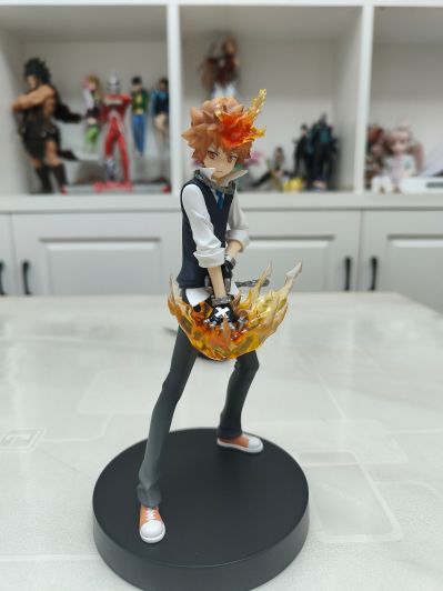 POP UP PARADE 家庭教师 泽田纲吉