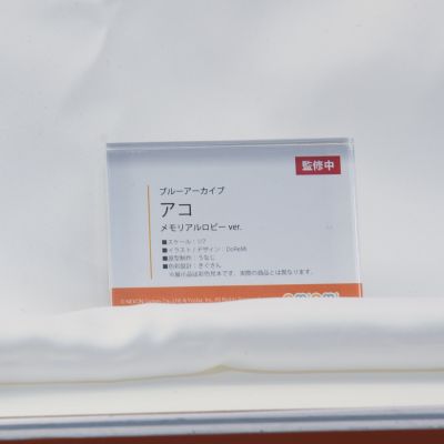 蔚蓝档案 天雨亚子 纪念大厅版