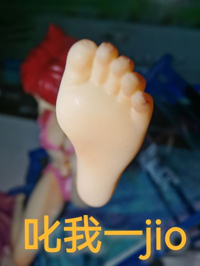 ToHeart2 XRATED 向坂环 -ビーチSIDEver.- irisawa限定版 