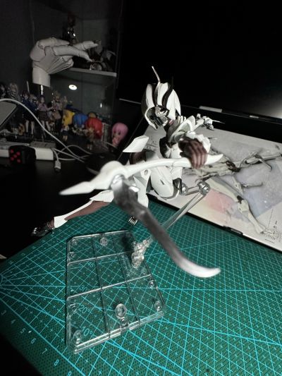 无限邂逅 追踪者