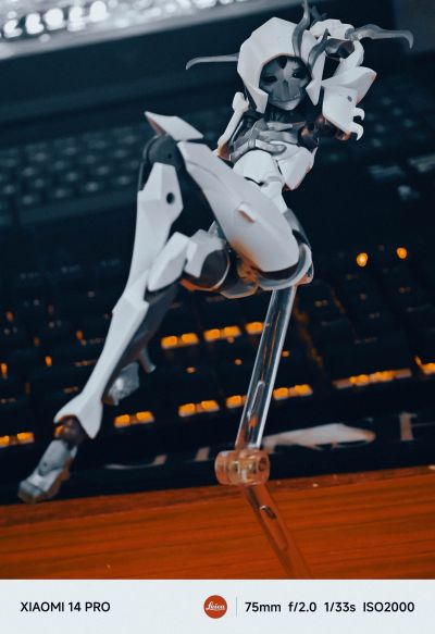 无限邂逅 追踪者