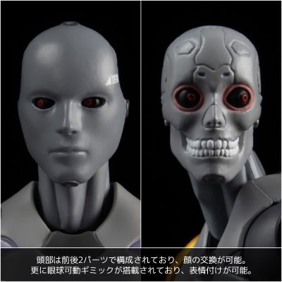 东亚重工 合成人类 识臣对应实验三型